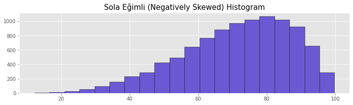 Sağa Eğimli Histogram, Sola Çarpık Histogram, Negatively Skewed Histogram Örneği