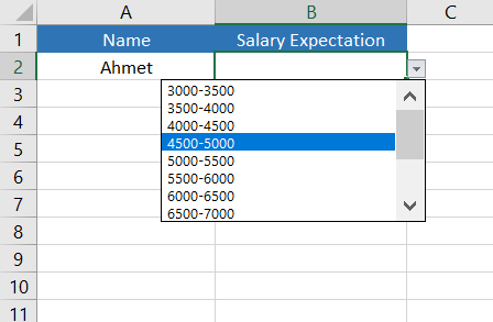 How to use drop down list in excel